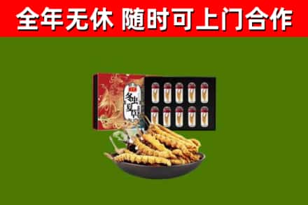 钦州回收冬虫夏草价格